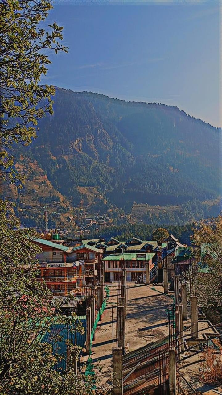 Hotel Antarctica &Pine N Dine Blues Cafe - Manali (Himachal Pradesh), Manali